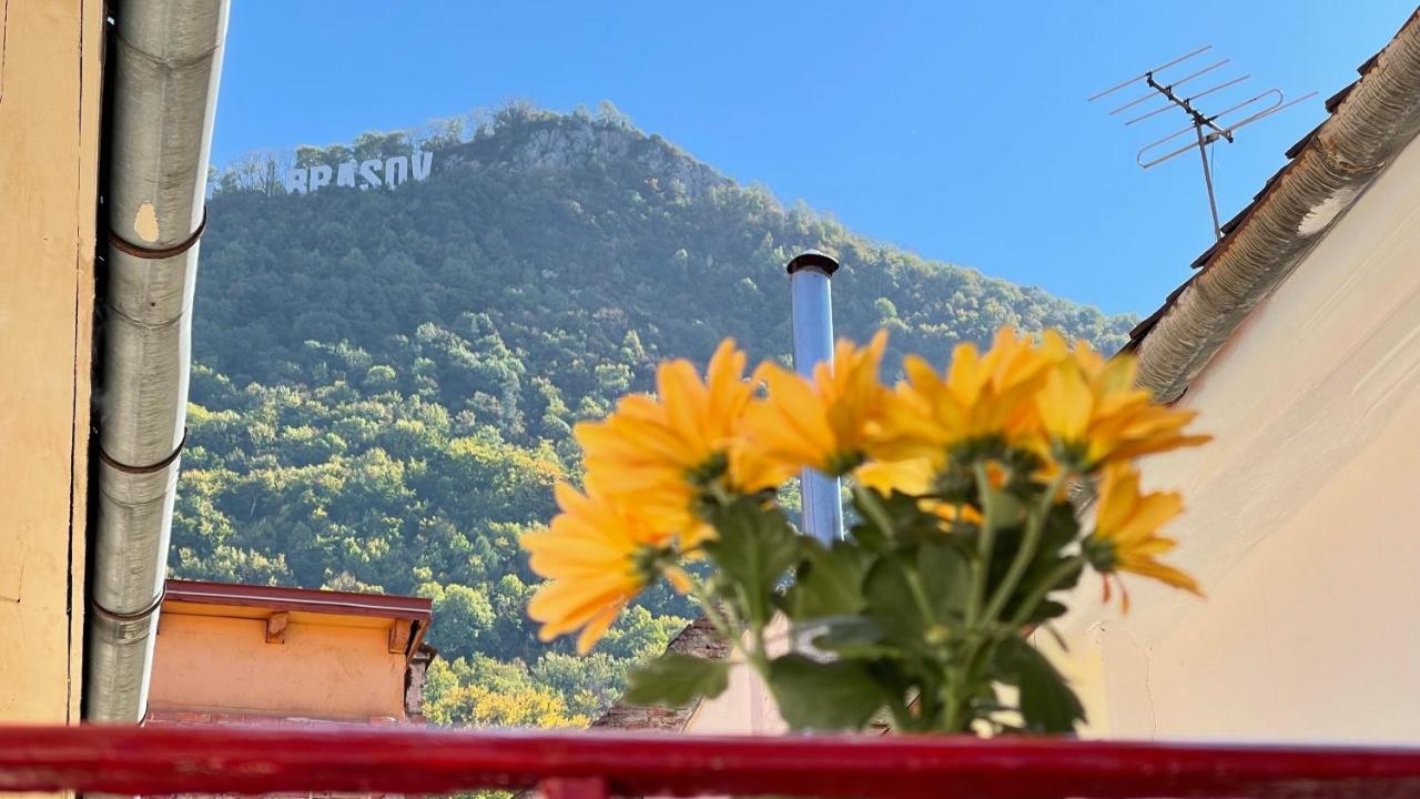 Maple Lodge Braşov Buitenkant foto
